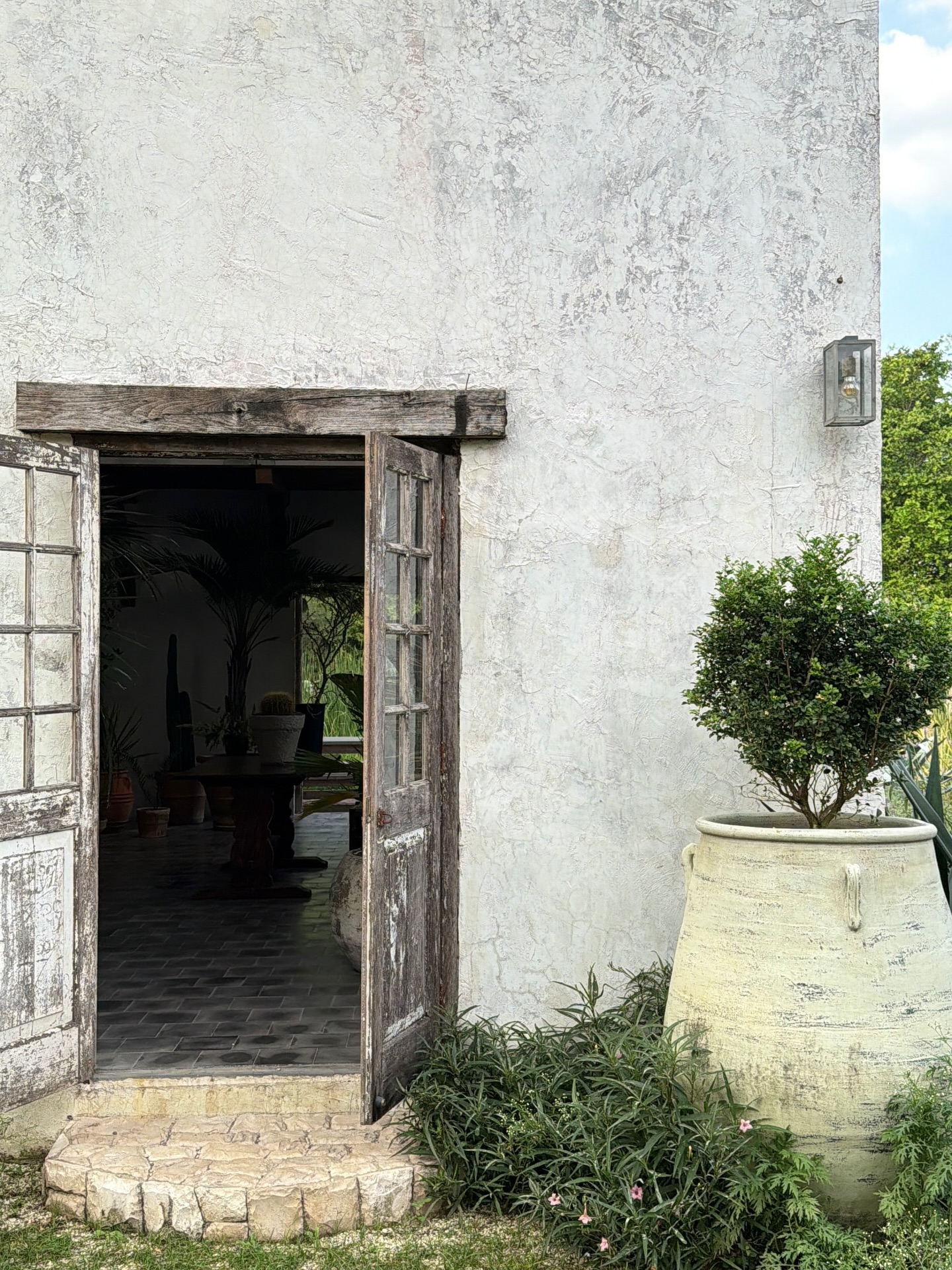 บัว - นลินทิพย์ สกุลอ่องอำไพ