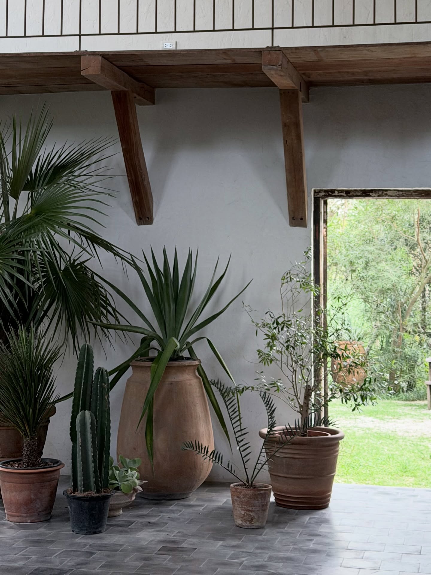 บัว - นลินทิพย์ สกุลอ่องอำไพ