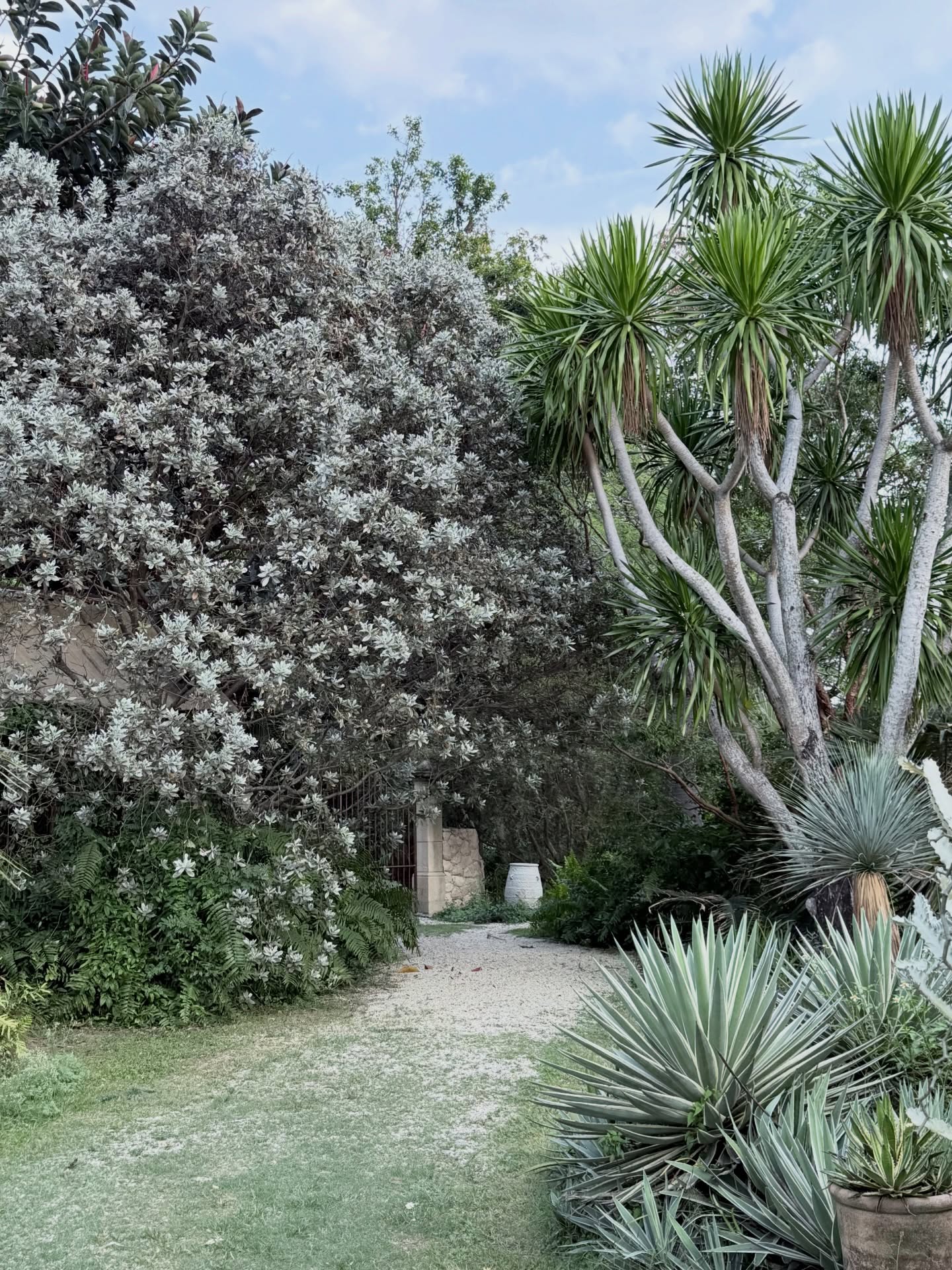 บัว - นลินทิพย์ สกุลอ่องอำไพ