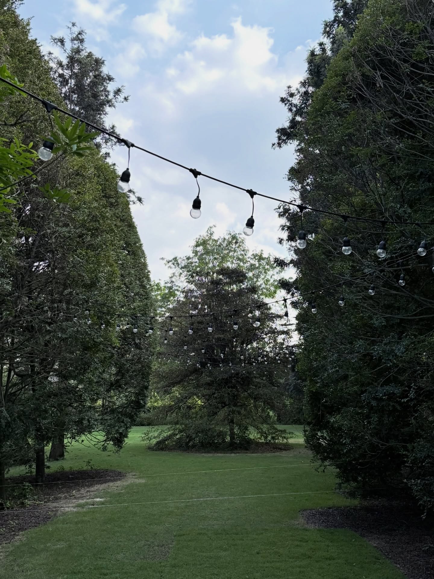 บัว - นลินทิพย์ สกุลอ่องอำไพ