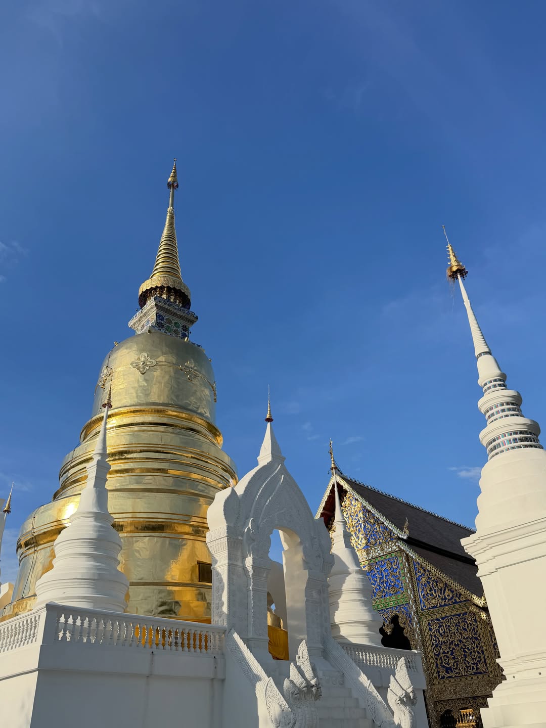 บัว - นลินทิพย์ สกุลอ่องอำไพ