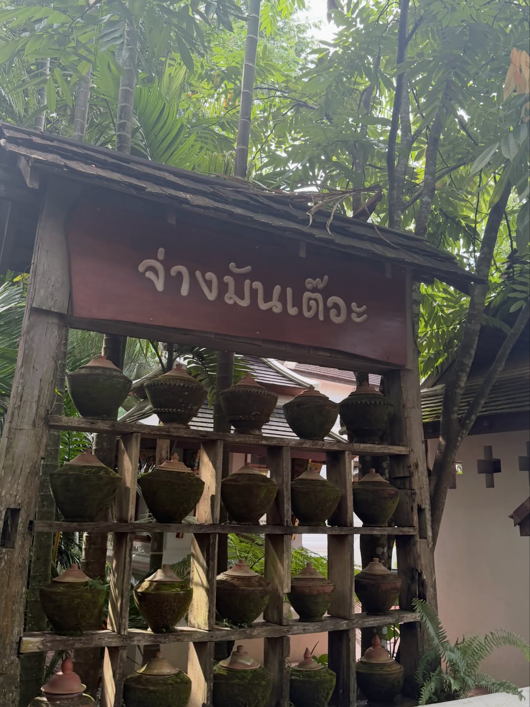 บัว - นลินทิพย์ สกุลอ่องอำไพ