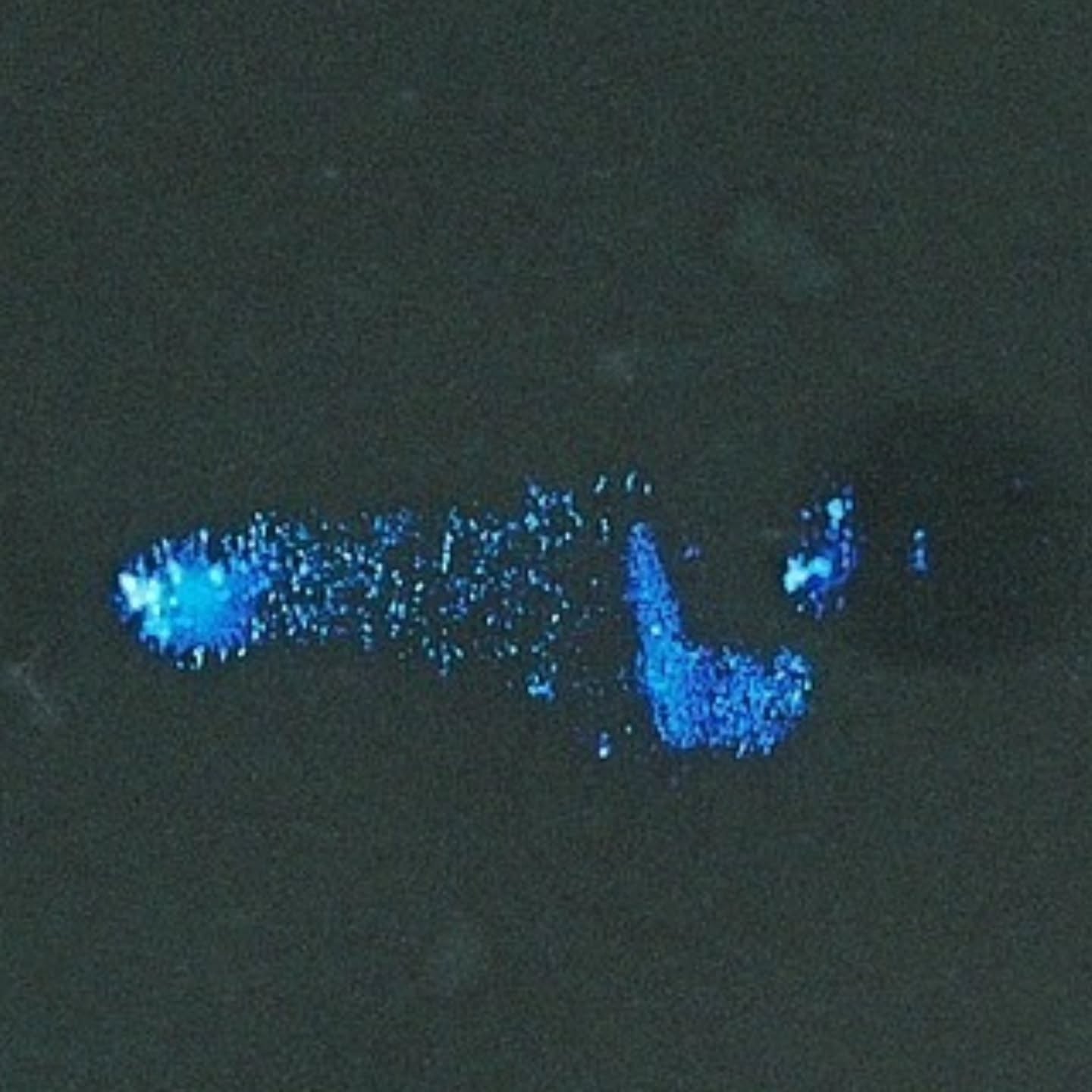 เซฟ ไซสวัสดิ์