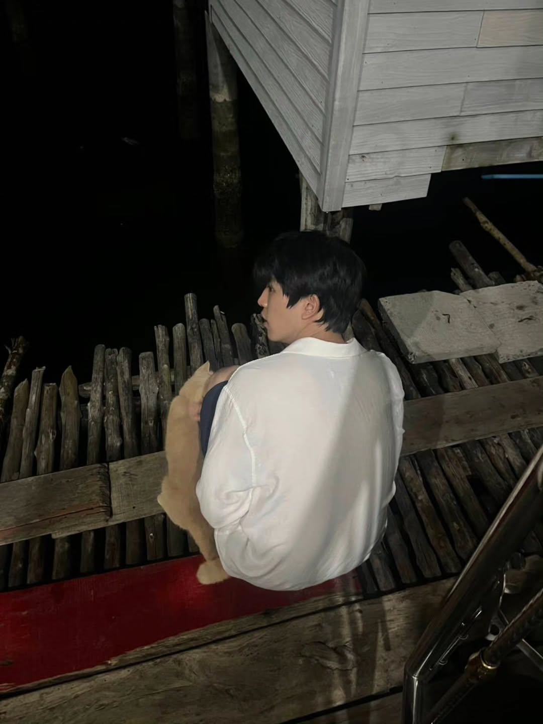 เซฟ ไซสวัสดิ์