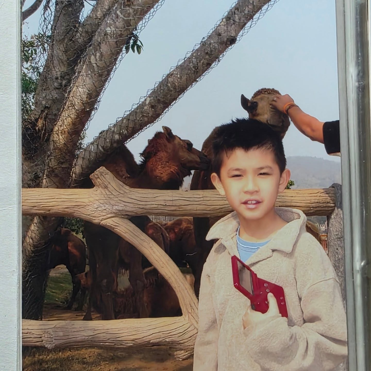 เซฟ ไซสวัสดิ์