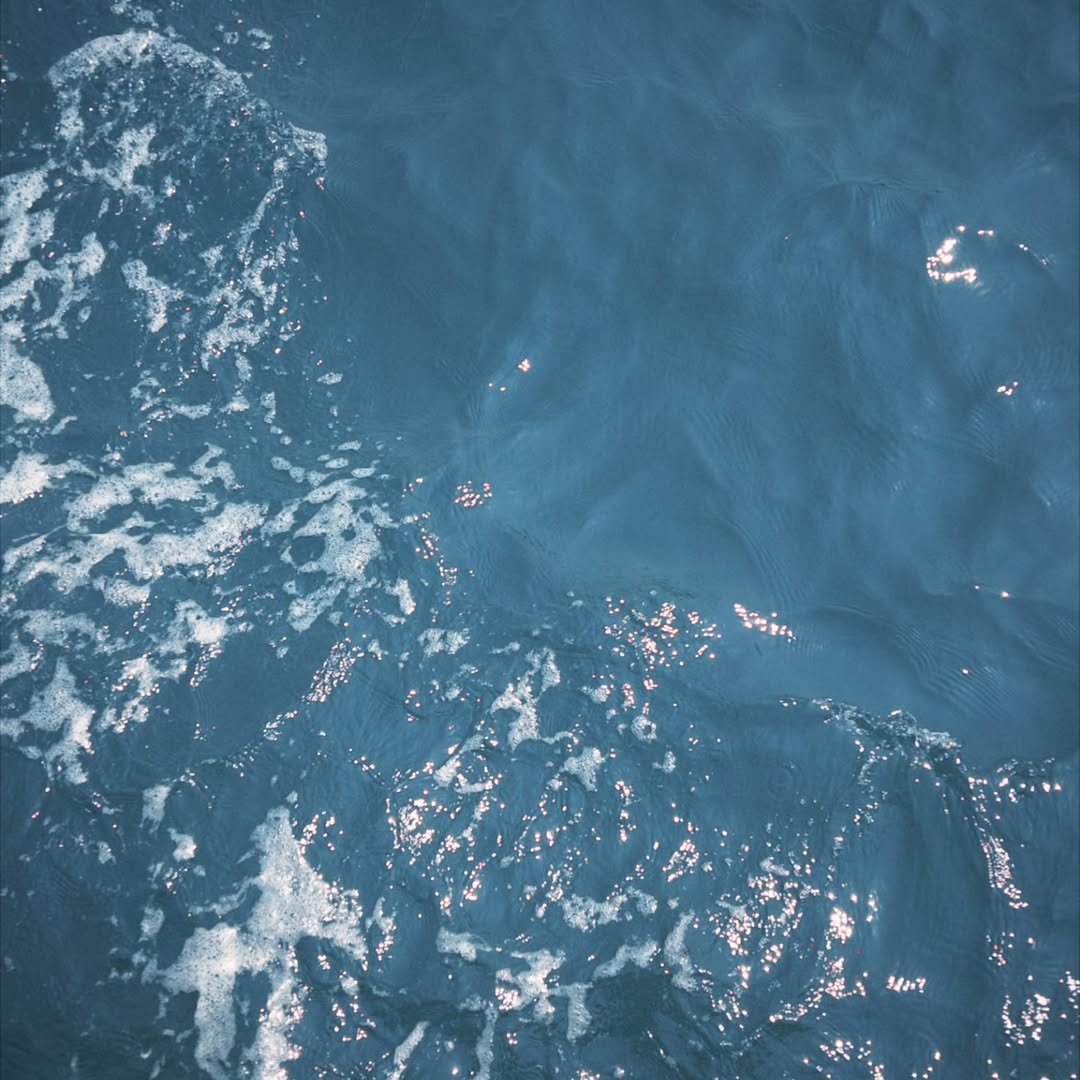 เซฟ ไซสวัสดิ์