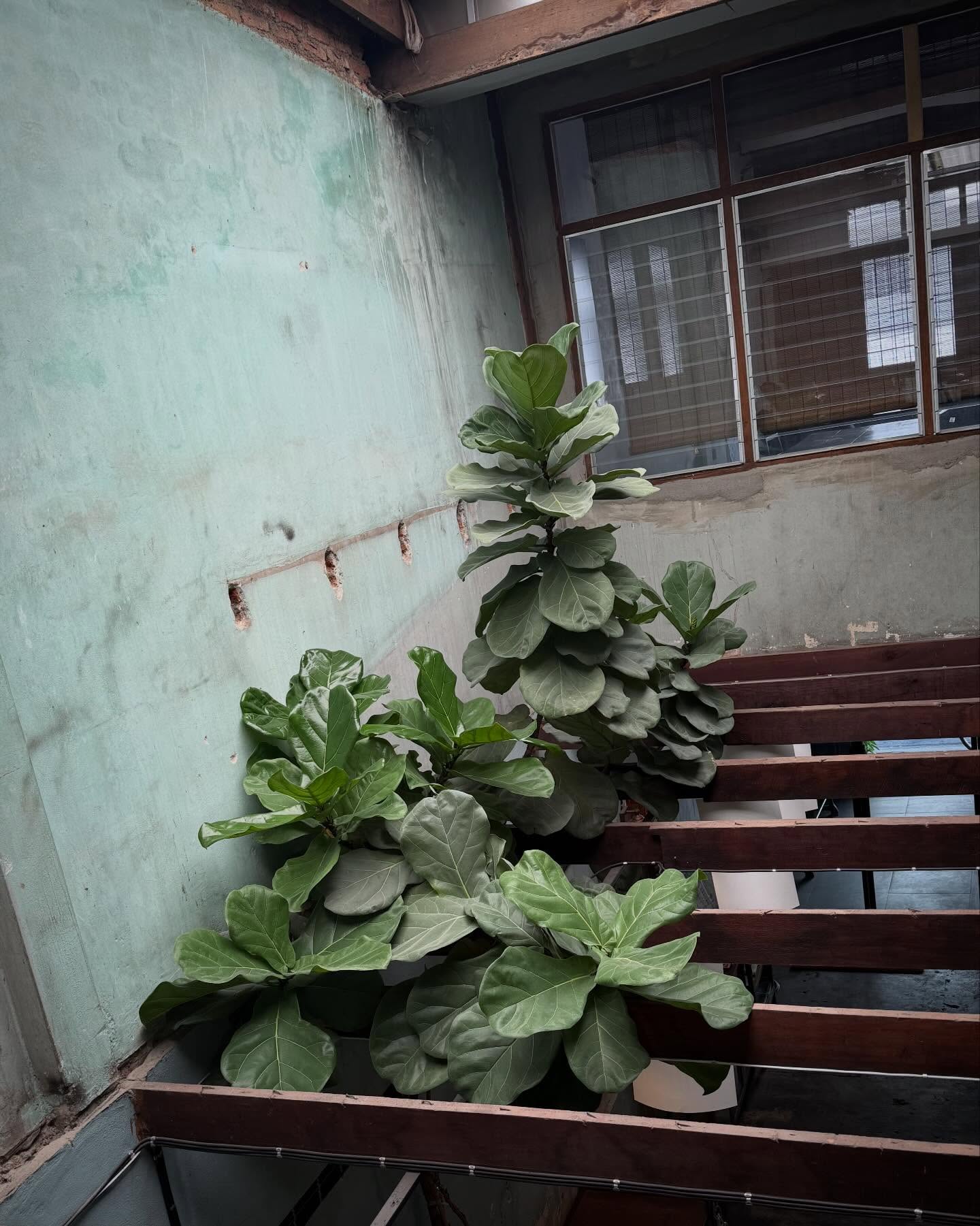 เล - ทะเล สงวนดีกุล