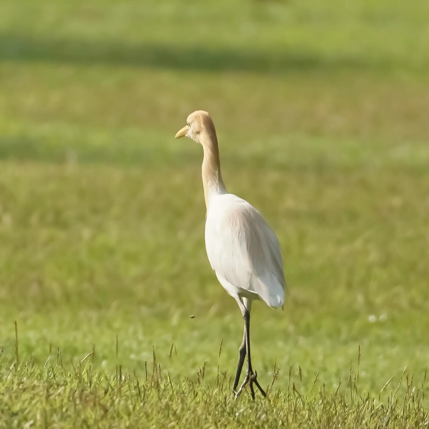 เล - ทะเล สงวนดีกุล