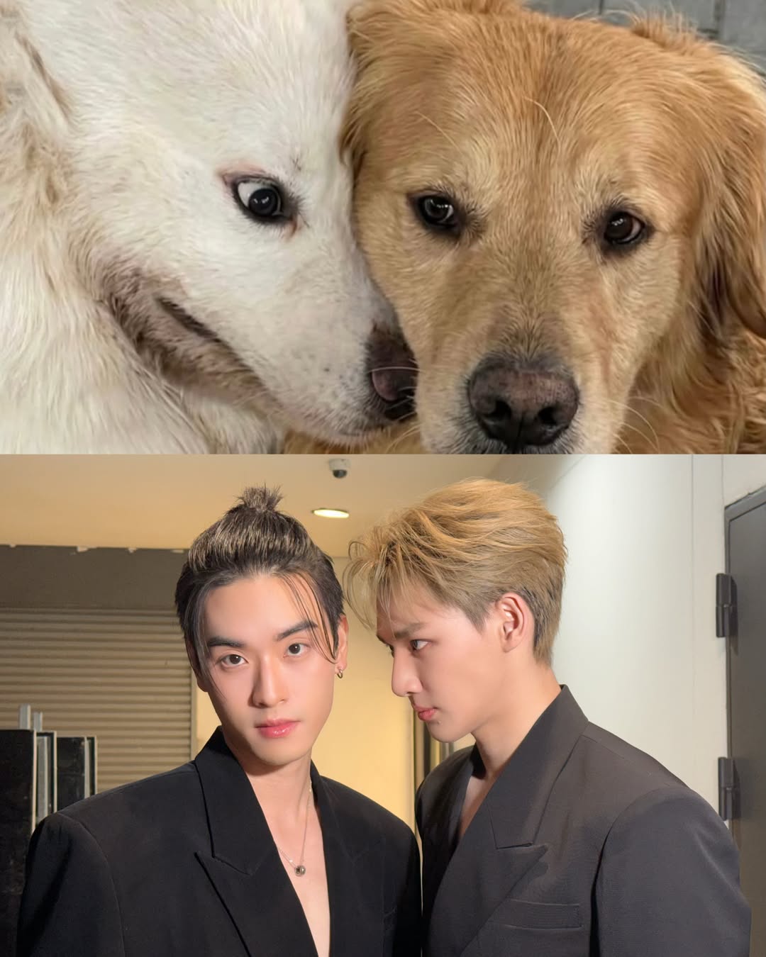 เล - ทะเล สงวนดีกุล