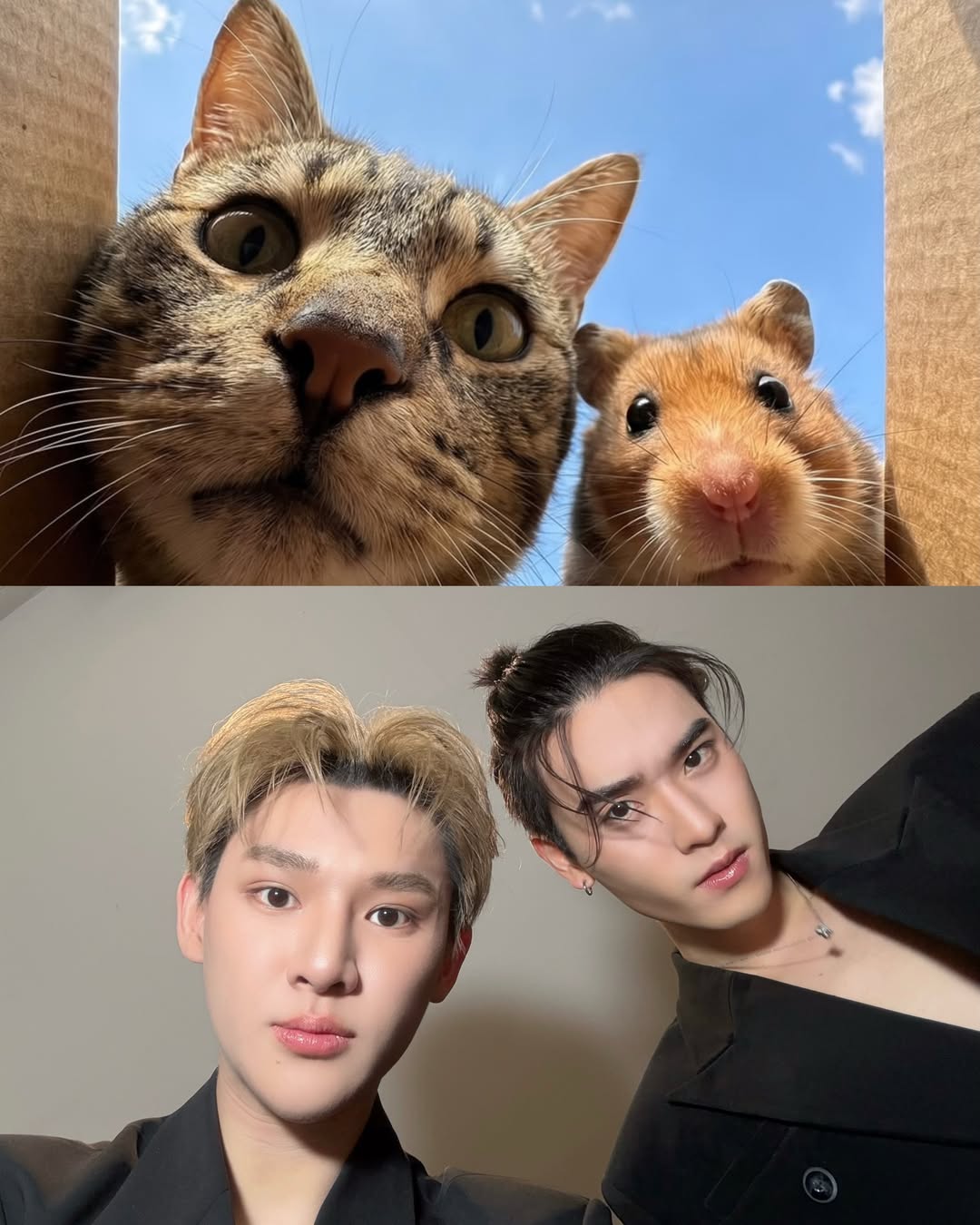 เล - ทะเล สงวนดีกุล