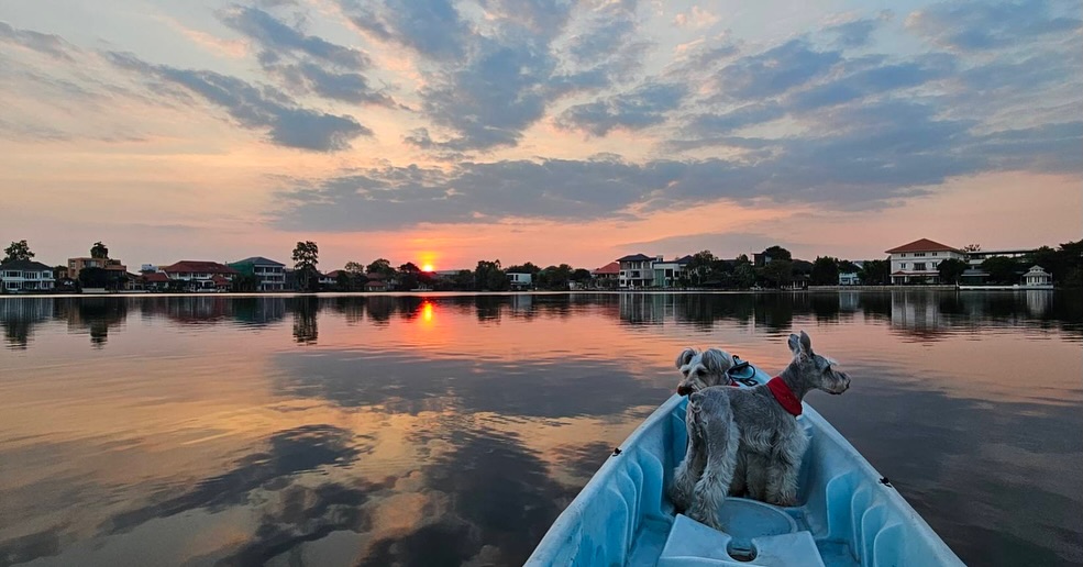 ก้อง - สหรัถ สังคปรีชา