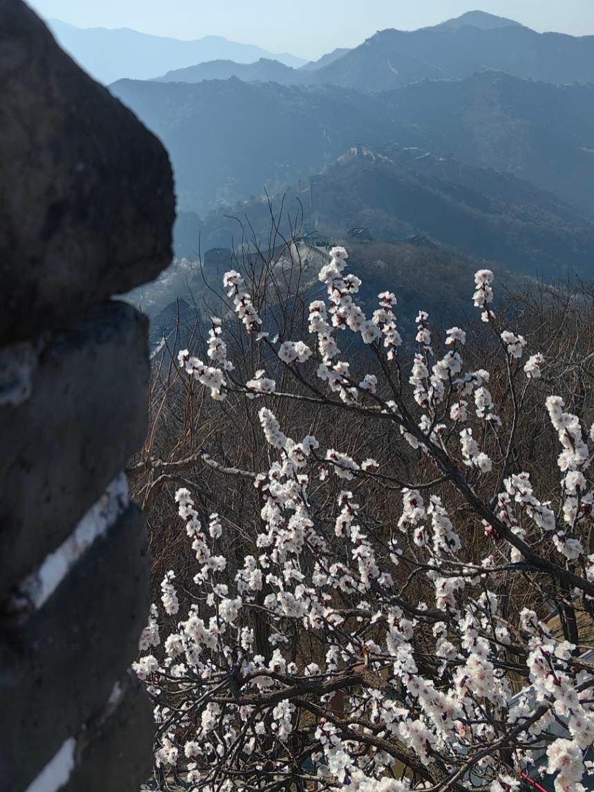 ก้อง - สหรัถ สังคปรีชา