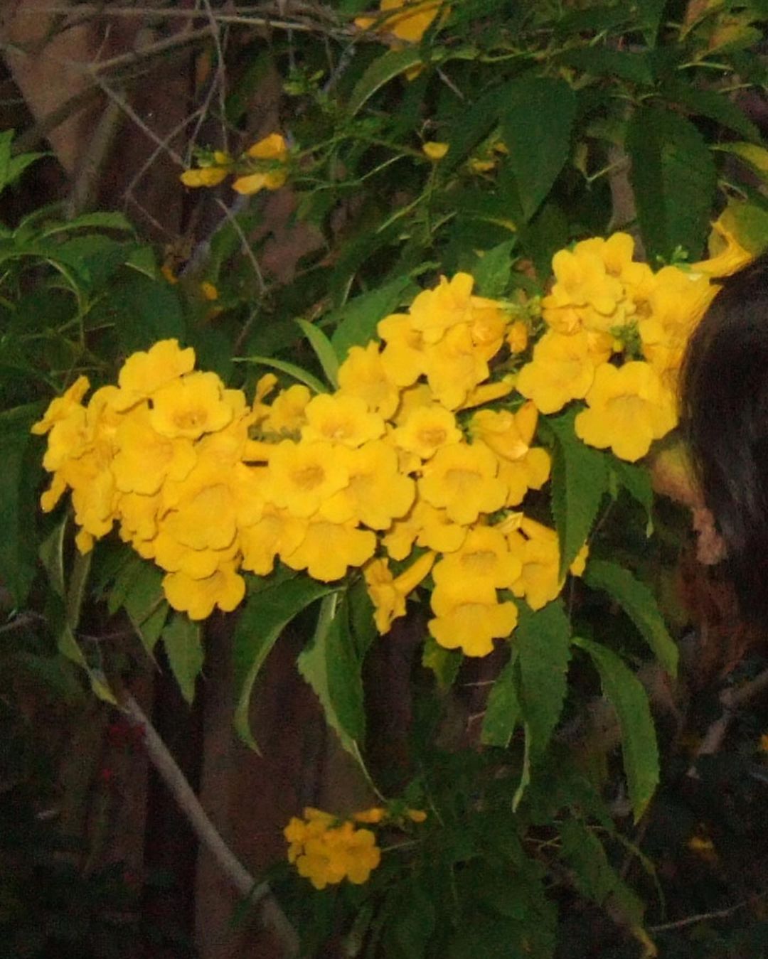 บูม - ธราธร จันทรวรกาญจน์