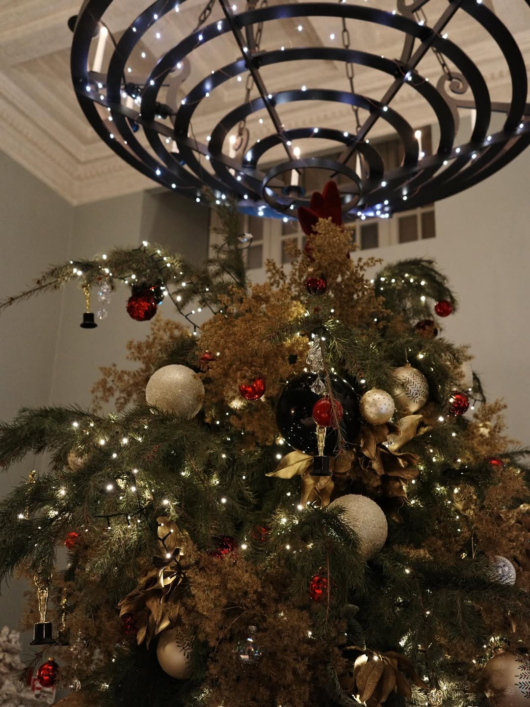 บูม - ธราธร จันทรวรกาญจน์