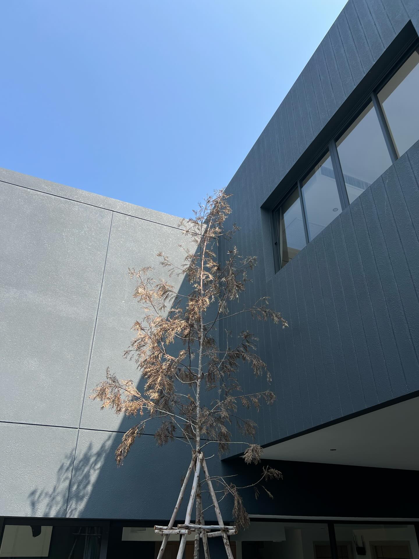 บูม - ธราธร จันทรวรกาญจน์