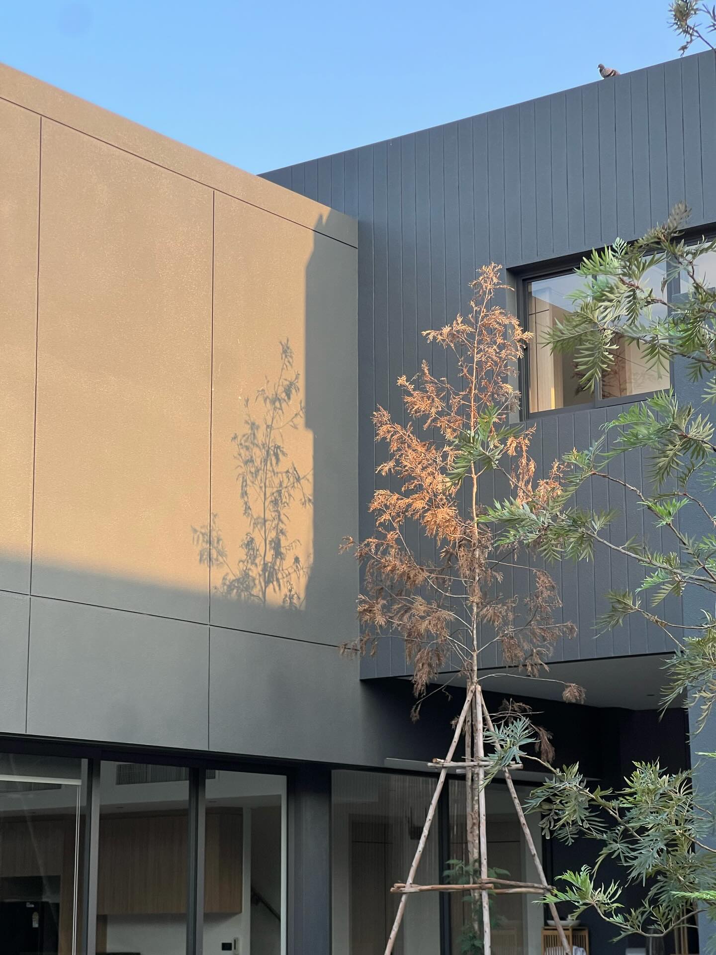 บูม - ธราธร จันทรวรกาญจน์