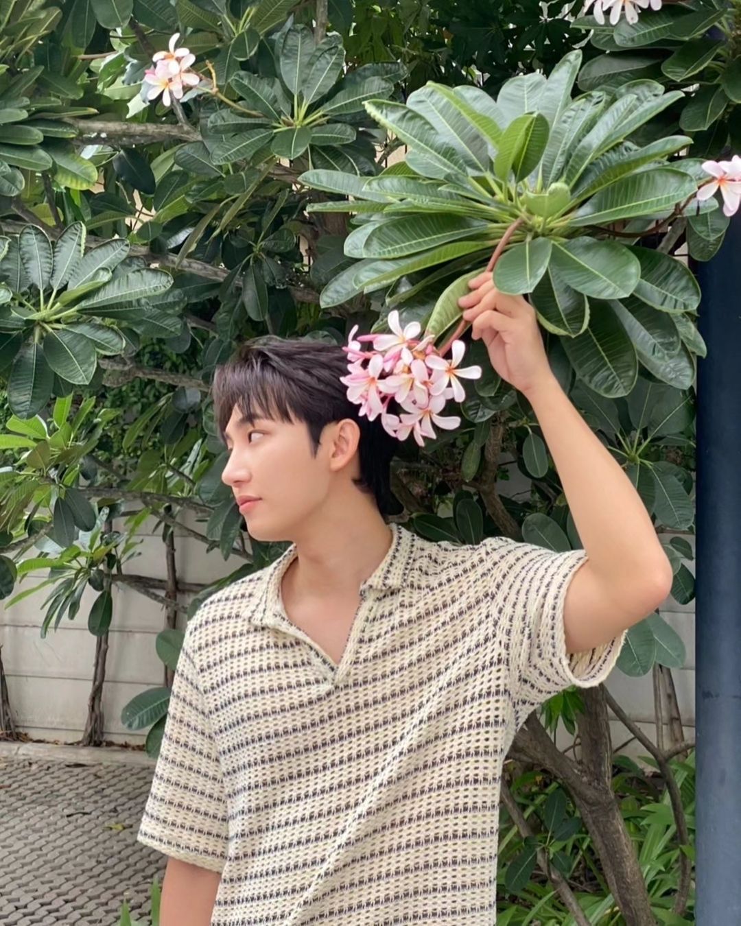ไตเติ้ล - กีรติ พวงมาลี