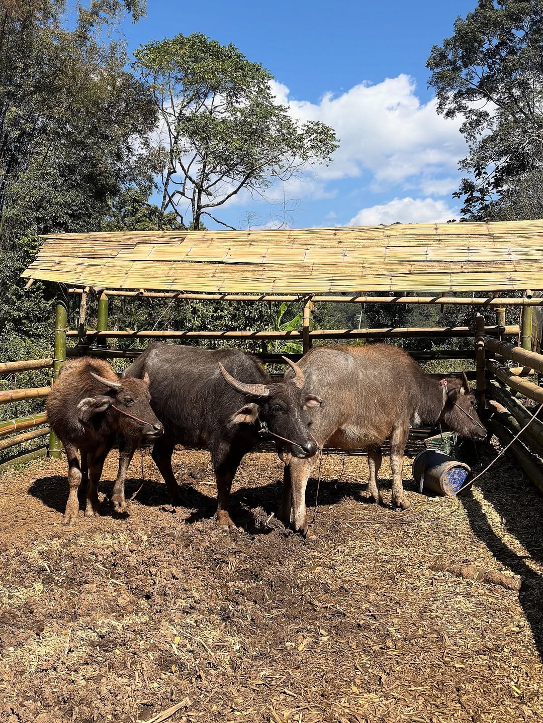 ไตเติ้ล - กีรติ พวงมาลี