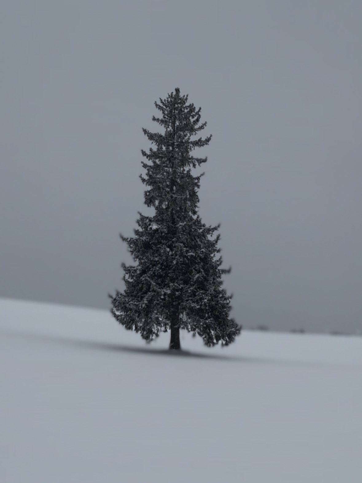 ไตเติ้ล - กีรติ พวงมาลี