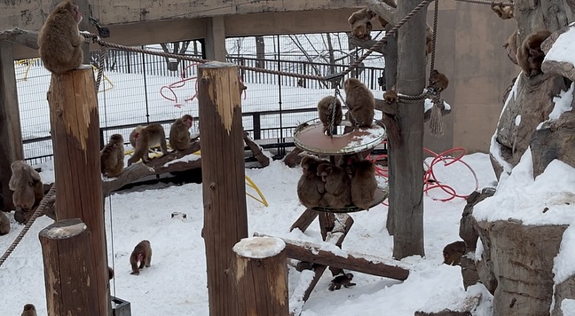 ไตเติ้ล - กีรติ พวงมาลี