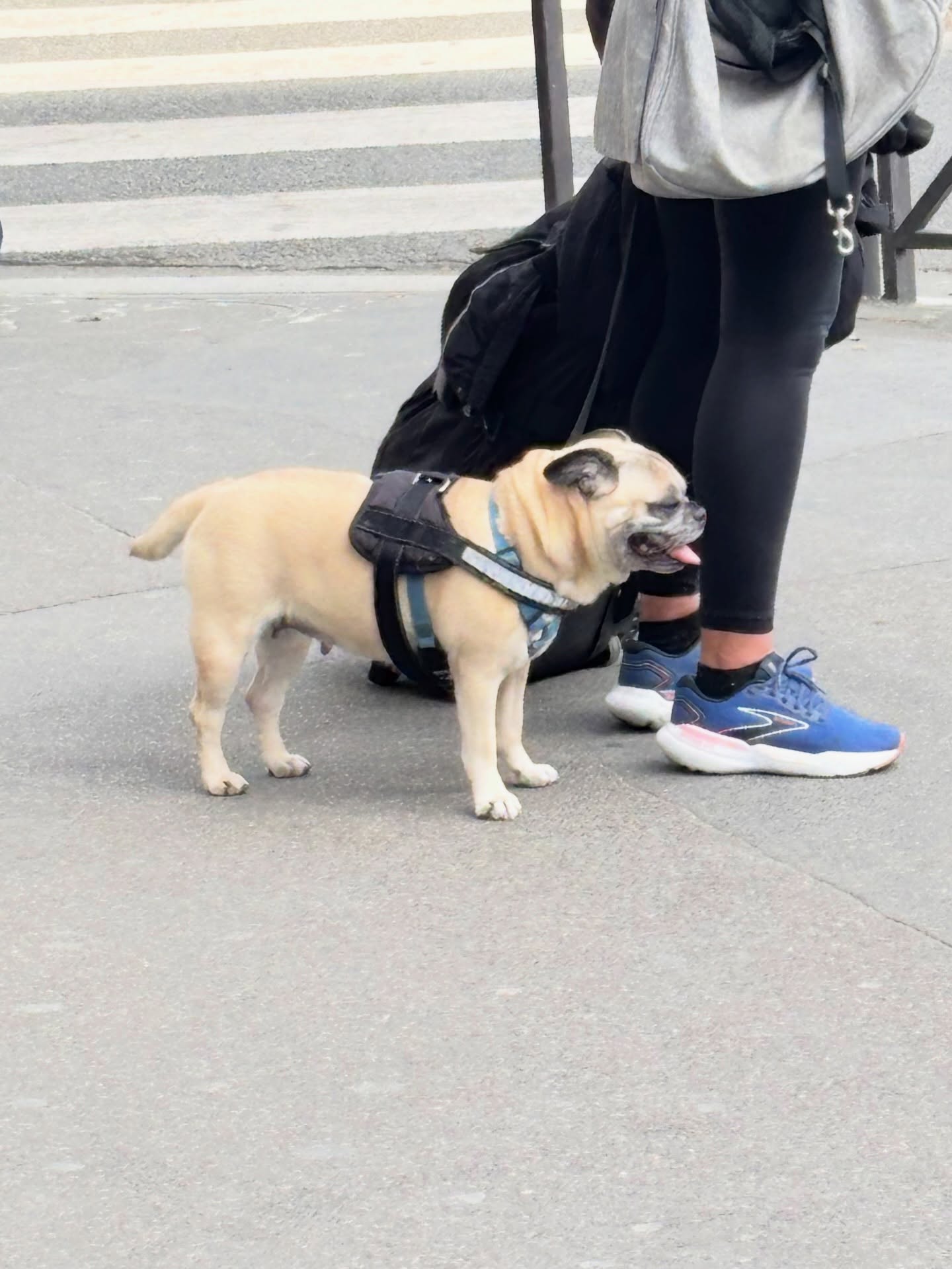 ไตเติ้ล - กีรติ พวงมาลี