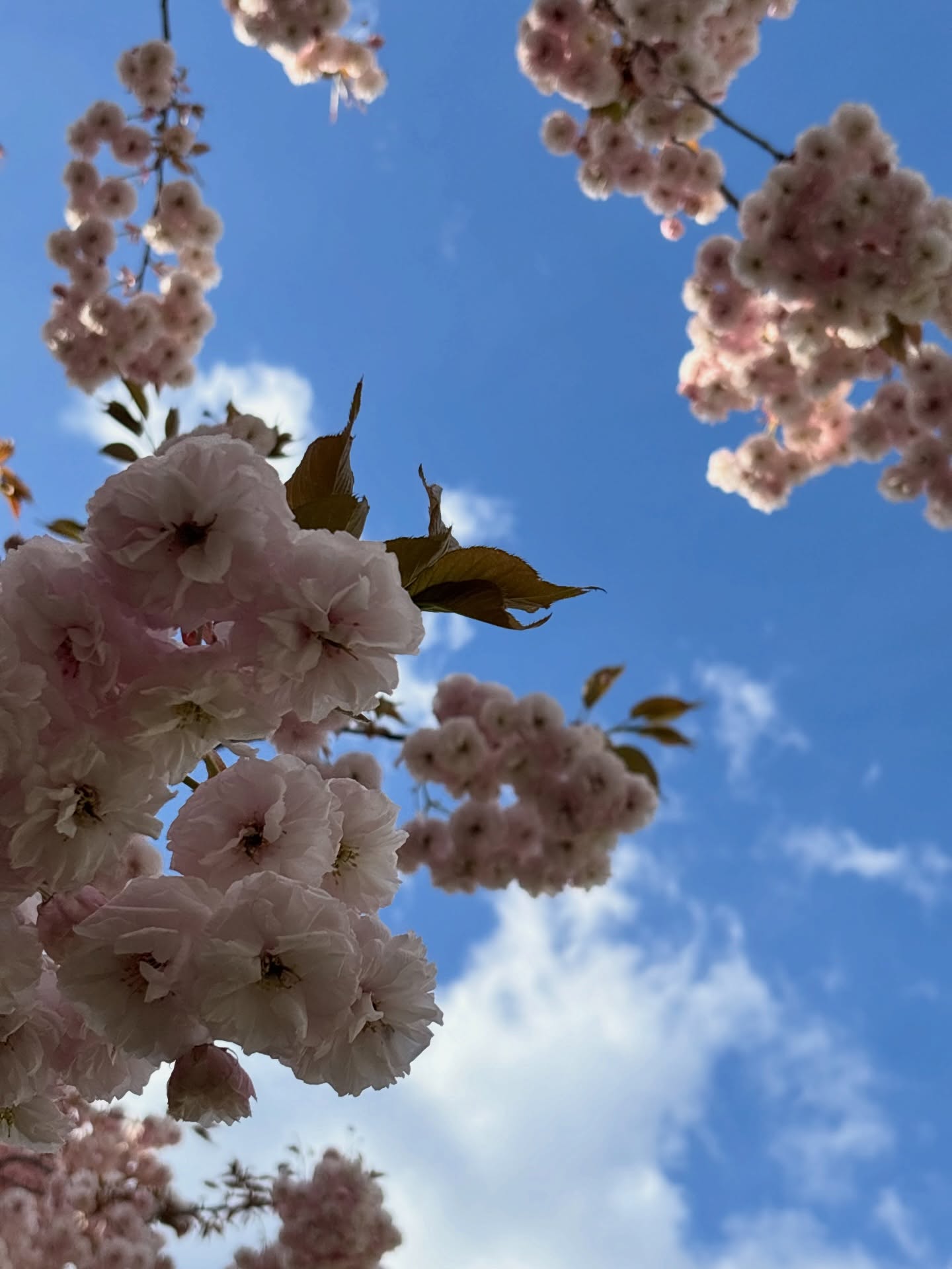 ไตเติ้ล - กีรติ พวงมาลี