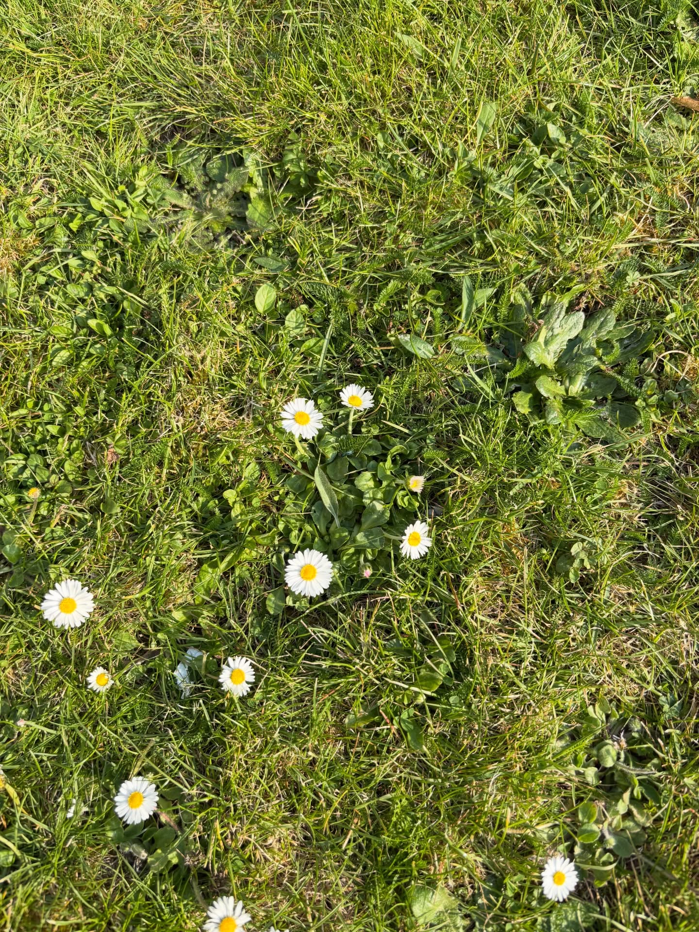 ไตเติ้ล - กีรติ พวงมาลี