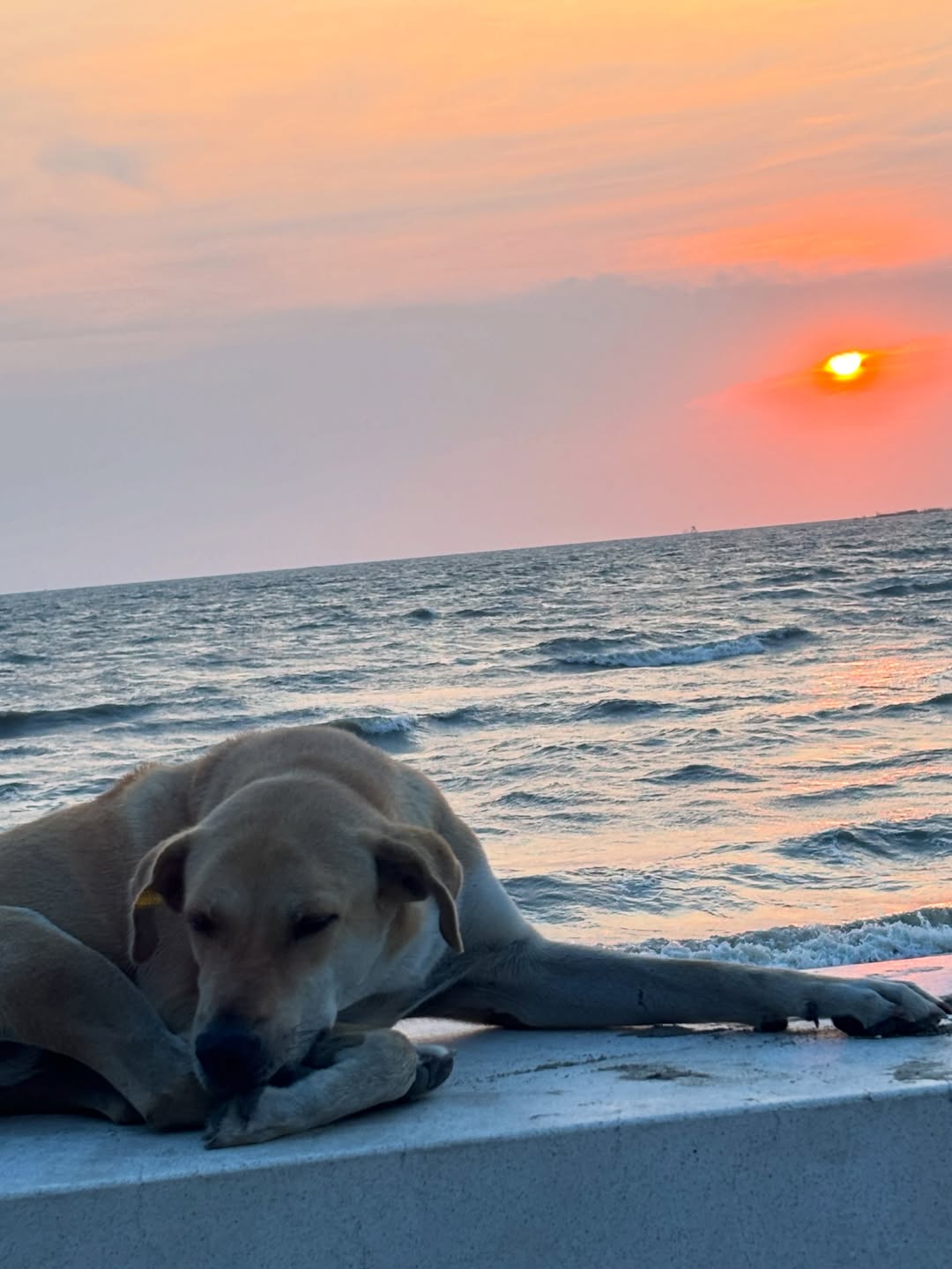 ไตเติ้ล - กีรติ พวงมาลี