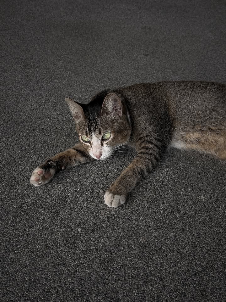 เพลงขวัญ - นัตยา ทองเสน