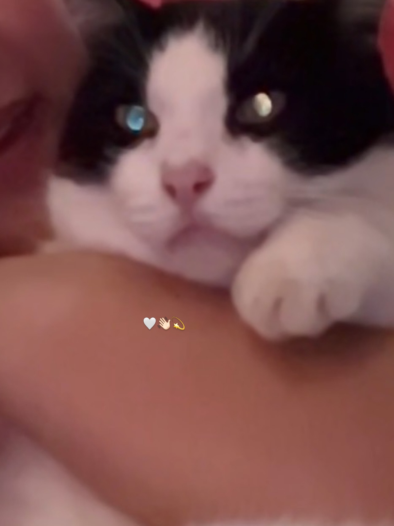 เพลงขวัญ - นัตยา ทองเสน