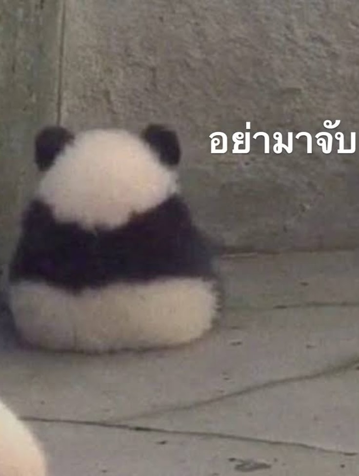 พั้นช์ - ทิพานัน นิลสยาม