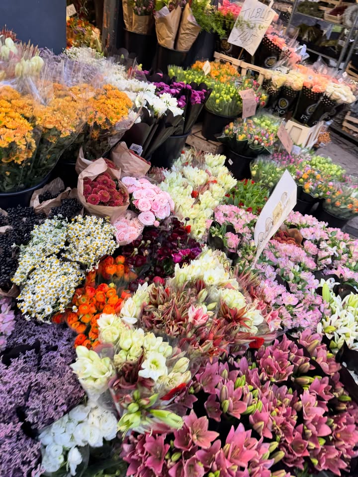 พั้นช์ - ทิพานัน นิลสยาม