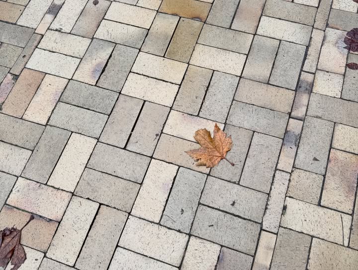 พั้นช์ - ทิพานัน นิลสยาม