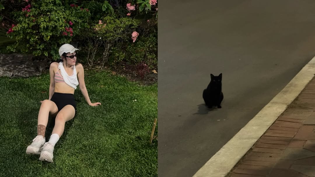 พั้นช์ - ทิพานัน นิลสยาม