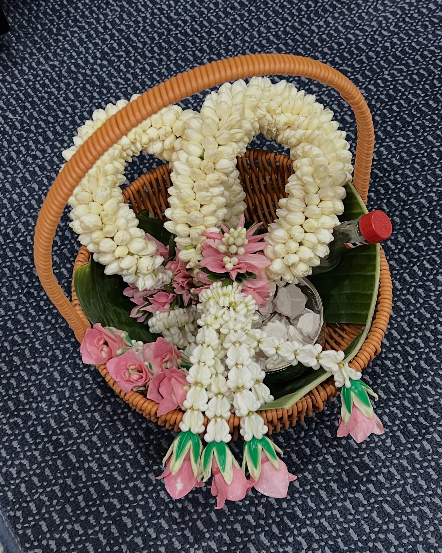 พั้นช์ - ทิพานัน นิลสยาม