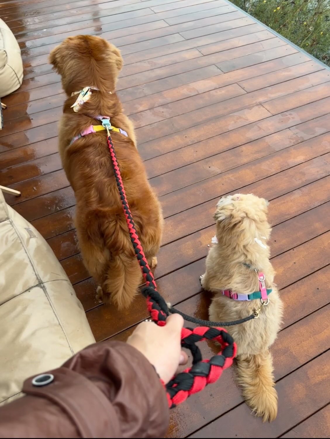 โอห์ม - ฐิติวัฒน์ ฤทธิ์ประเสริฐ