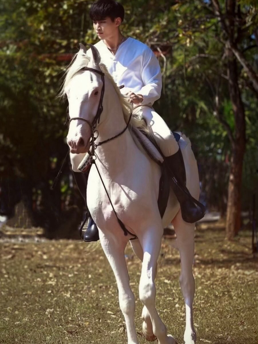 โอห์ม - ฐิติวัฒน์ ฤทธิ์ประเสริฐ