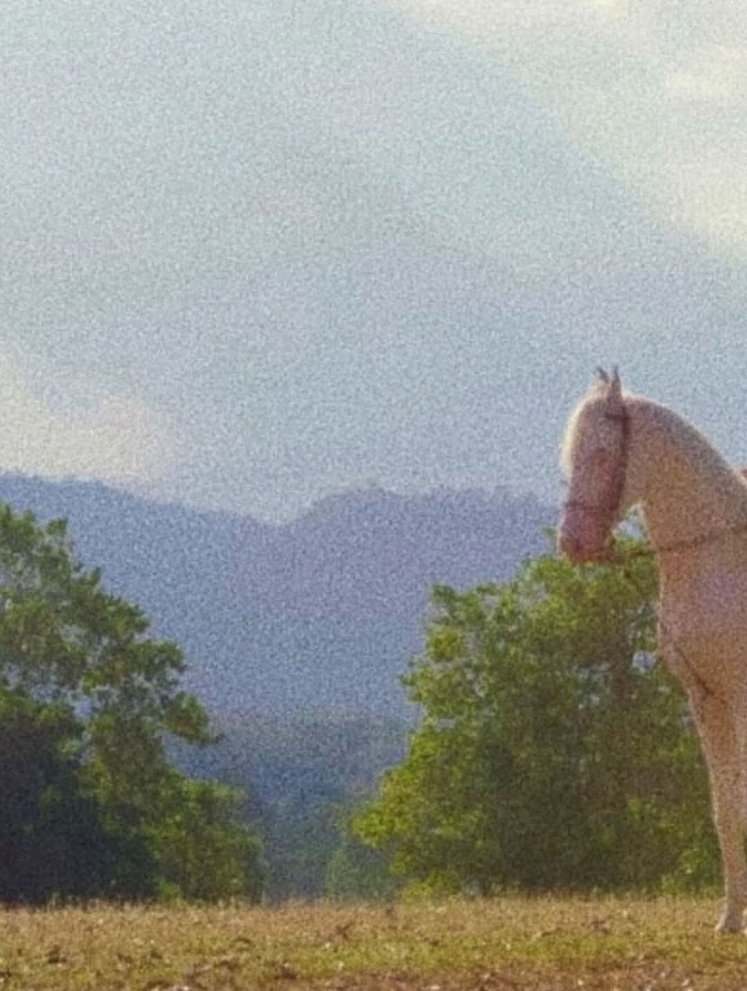 โอห์ม - ฐิติวัฒน์ ฤทธิ์ประเสริฐ