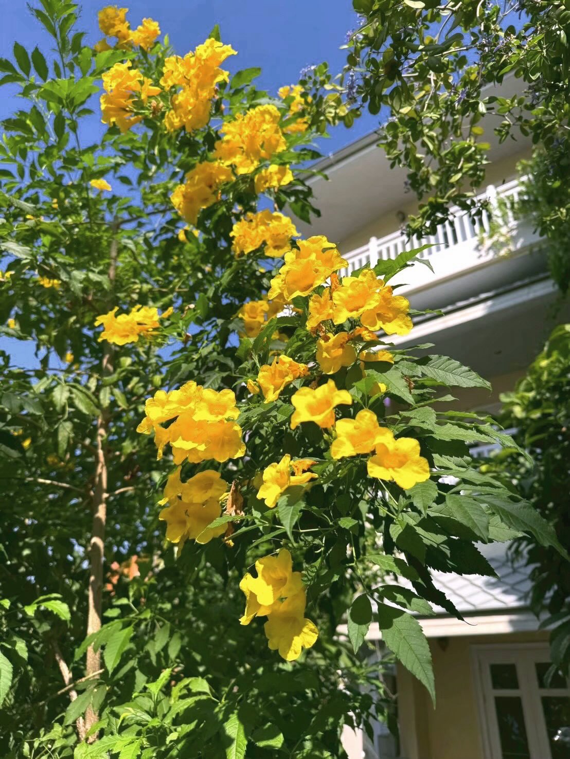 โอห์ม - ฐิติวัฒน์ ฤทธิ์ประเสริฐ