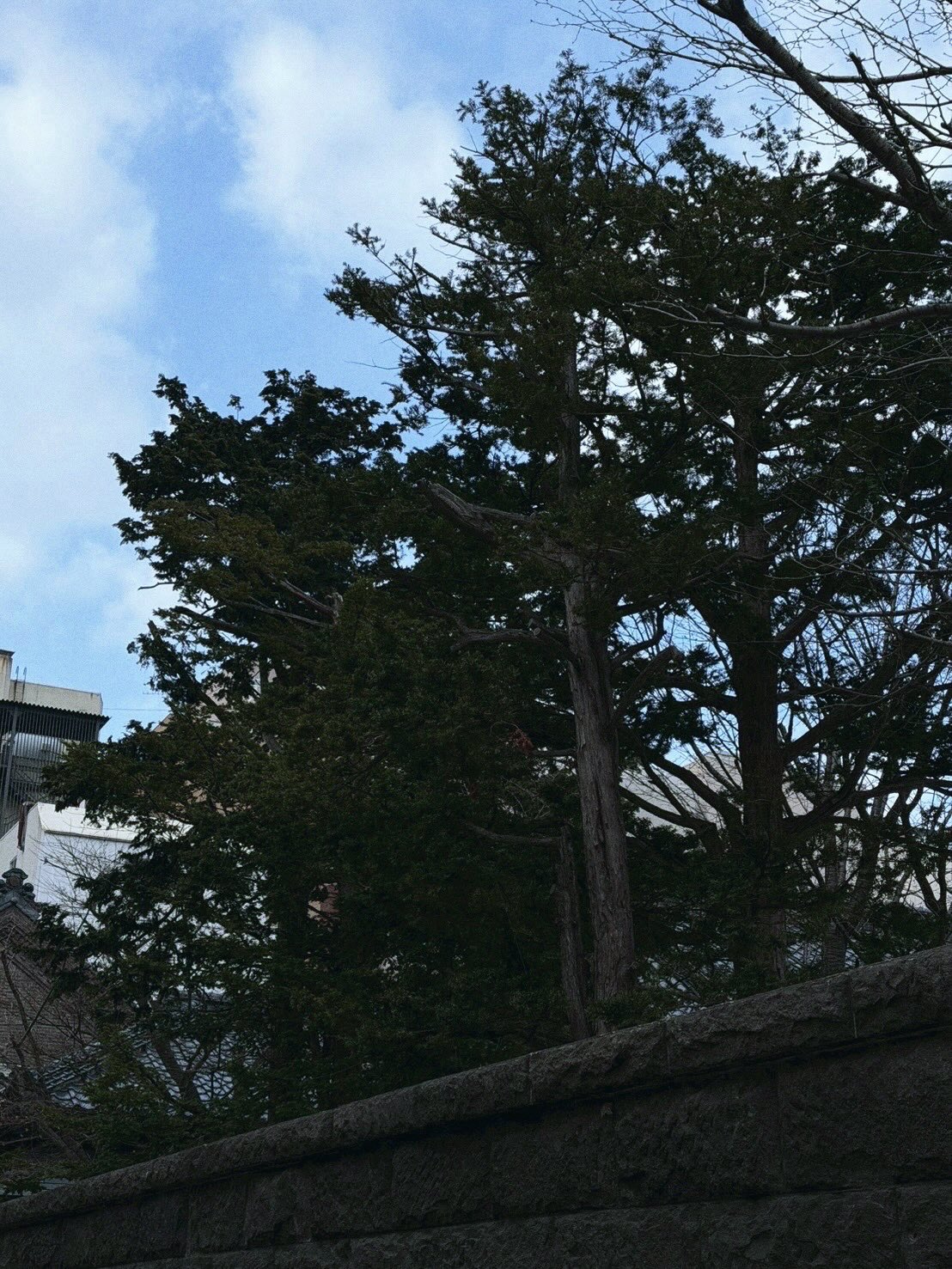 โอห์ม - ฐิติวัฒน์ ฤทธิ์ประเสริฐ