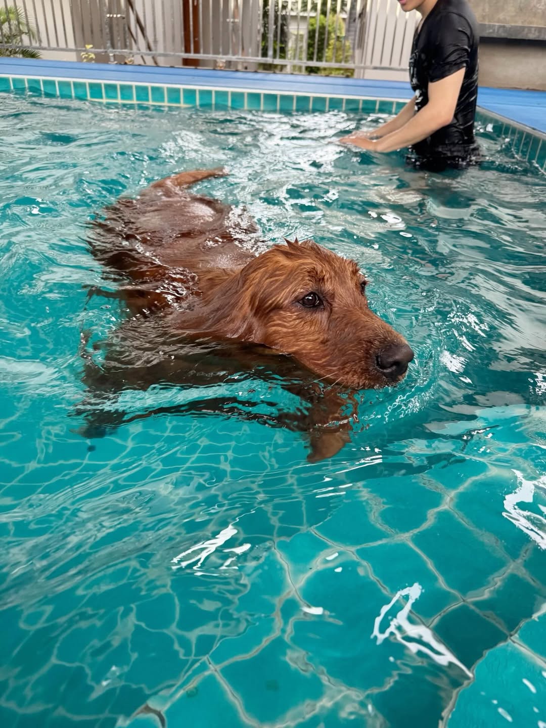 โอห์ม - ฐิติวัฒน์ ฤทธิ์ประเสริฐ