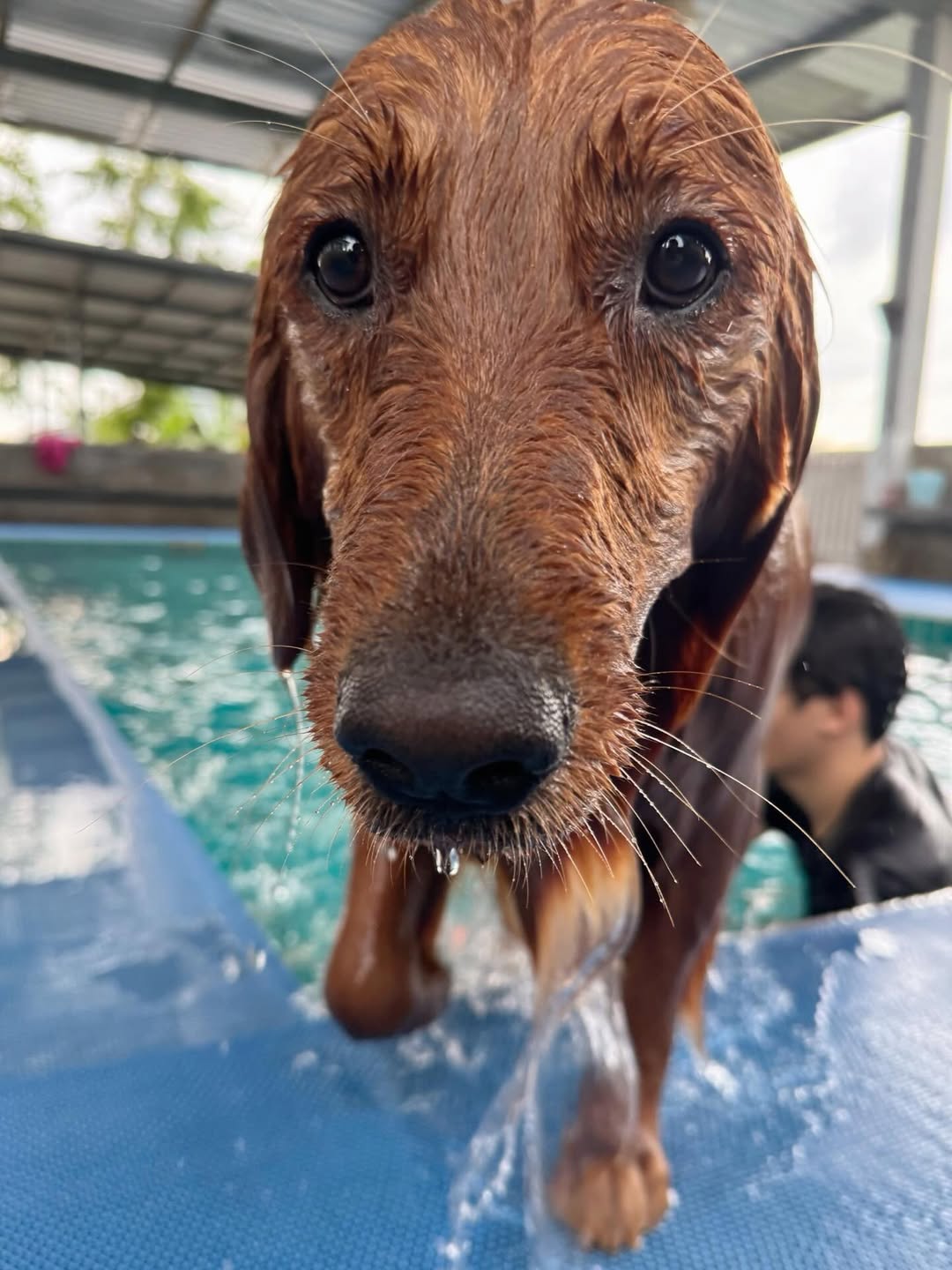 โอห์ม - ฐิติวัฒน์ ฤทธิ์ประเสริฐ