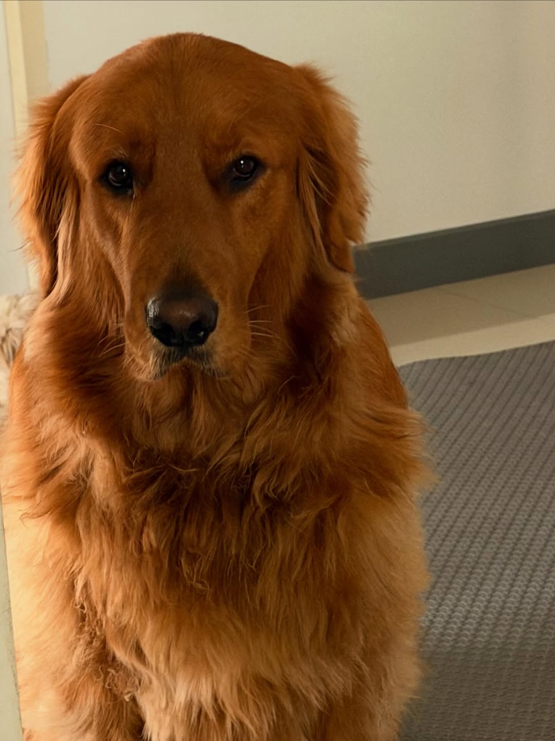 โอห์ม - ฐิติวัฒน์ ฤทธิ์ประเสริฐ