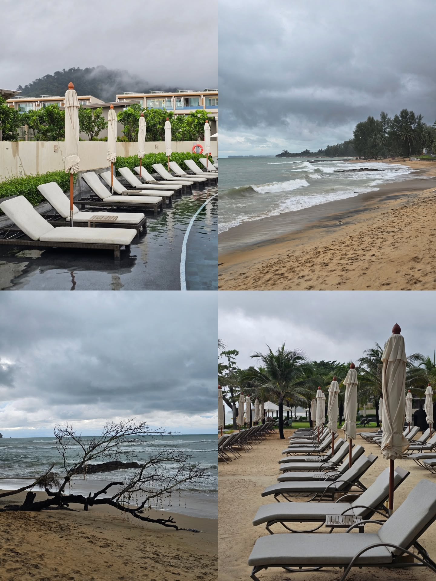 ไอซ์ - ศรัณยู วินัยพานิช