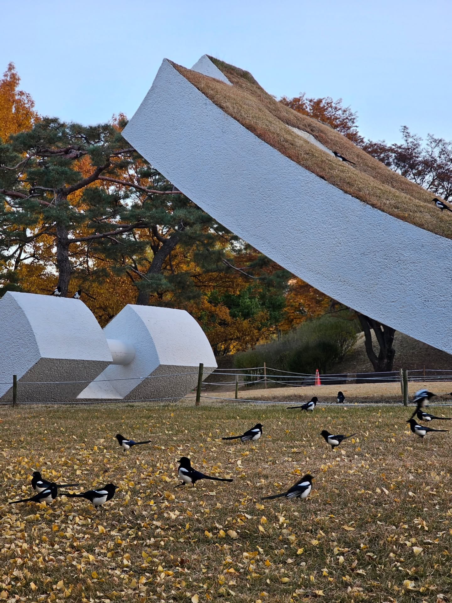 ไอซ์ - ศรัณยู วินัยพานิช