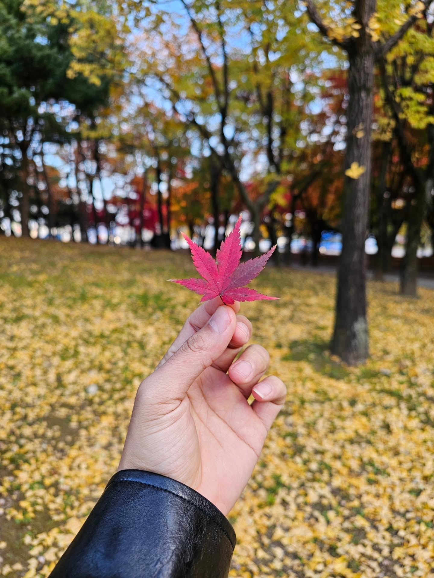 ไอซ์ - ศรัณยู วินัยพานิช