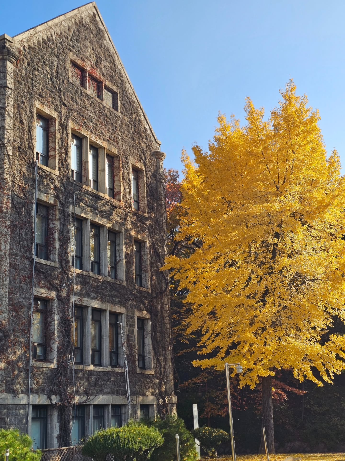 ไอซ์ - ศรัณยู วินัยพานิช