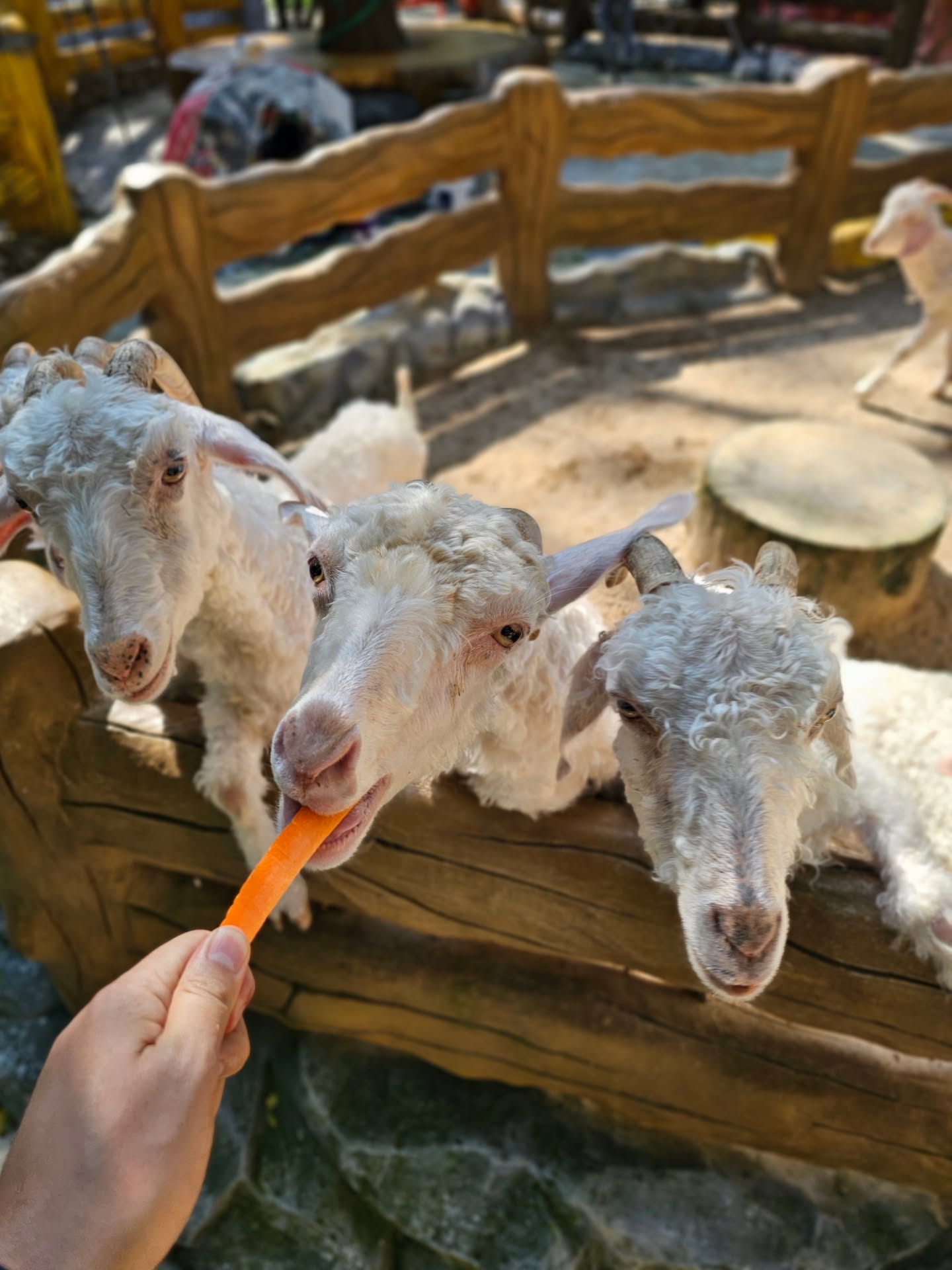 ไอซ์ - ศรัณยู วินัยพานิช