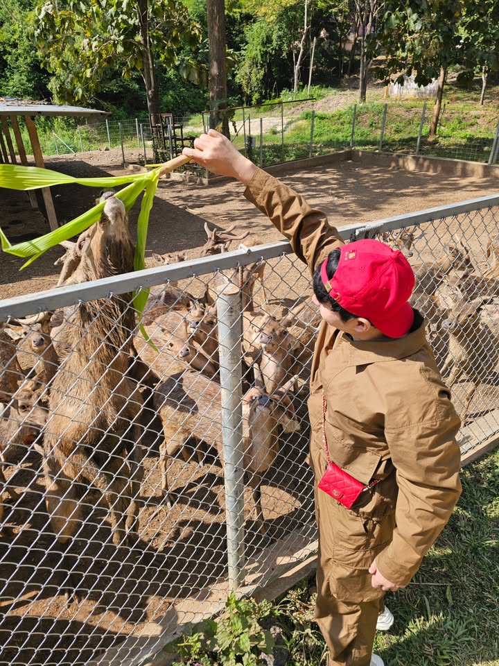 ไอซ์ - ศรัณยู วินัยพานิช