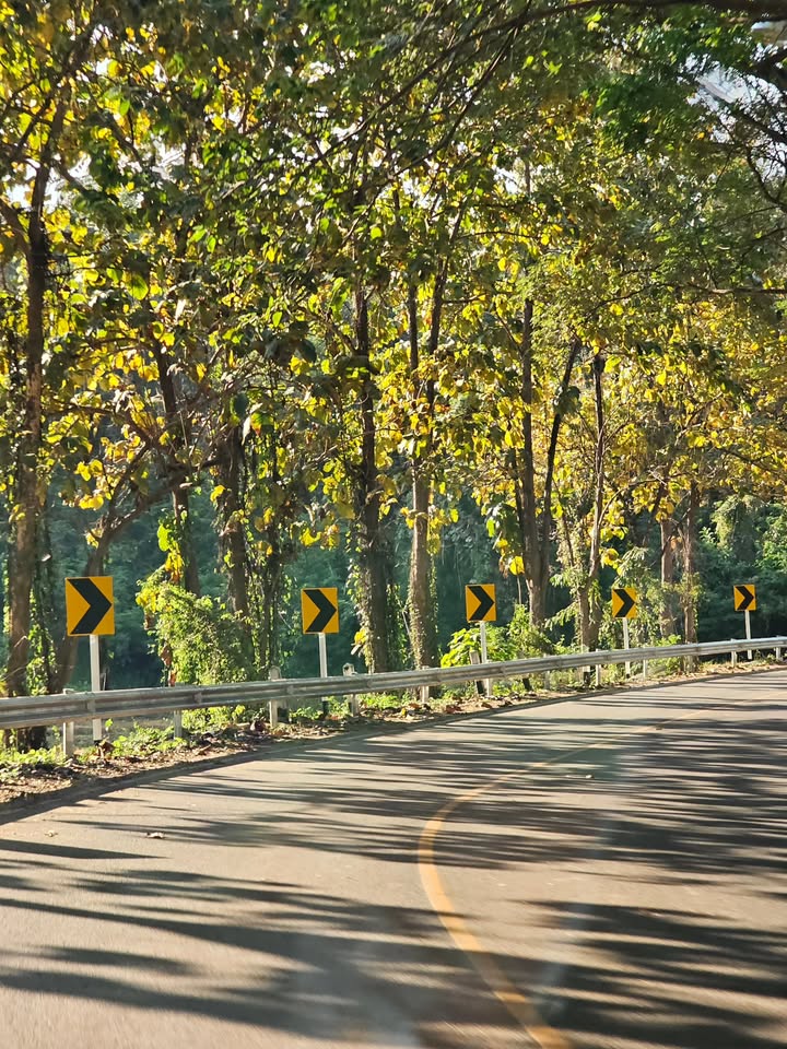 ไอซ์ - ศรัณยู วินัยพานิช